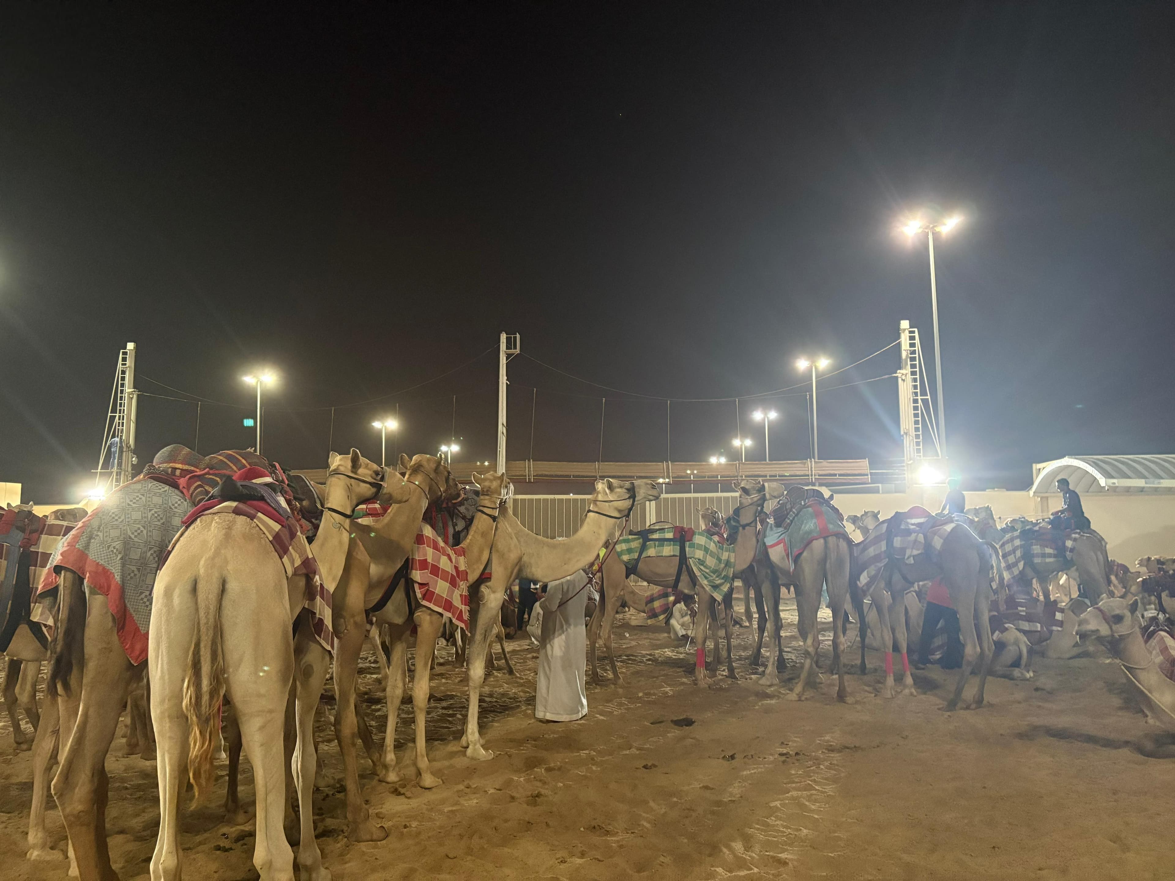 AI Camel Health Monitoring System